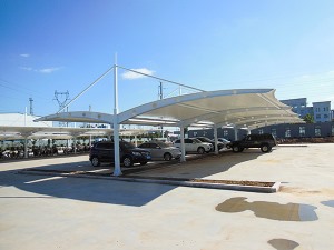 精品国产麻豆免费人成网站汽車棚